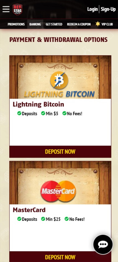 red-stag-casino-payment-methods-mobile-review