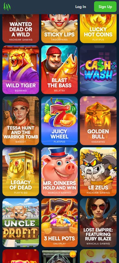 Wild.io Casino mobile slots interface screenshot showing slot game selection with popular titles and filtering options - captured during platform testing